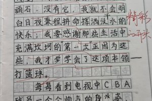 篮球训练过程的作文怎么写